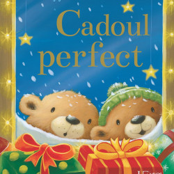 Cadoul perfect, Caroline Pedler, Stella J. Jones