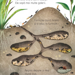 Ce se intampla sub pamant? - Usborne