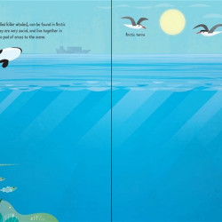 First Sticker Book Narwhals, Usborne