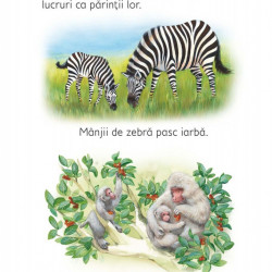 Pui de animale, Usborne