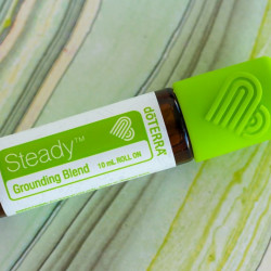 Steady blend touch, Ulei esential pentru copii kids collection, 10 ml pentru relaxare si stare de liniste, doterra