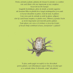 Vino cu noi prin padure! Animalele si plantele de-a lungul anului