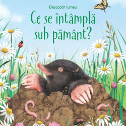 Ce se intampla sub pamant? - Usborne