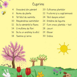Cum cresc plantele, usborne