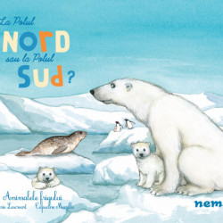 La polul Nord sau la polul Sud?
