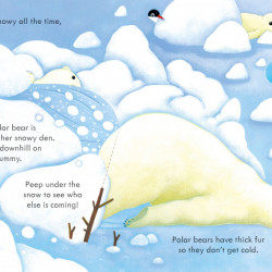 Peep Inside Snowy Places, Usborne, 3+