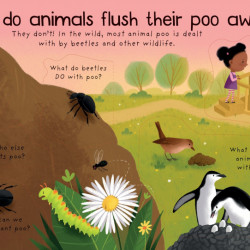 Where Does Poo Go? - Katie Daynes, Usborne, 4+