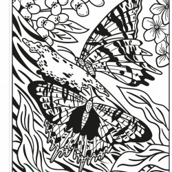 Butterflies Magic Painting Book, Abigail Wheatley, Usborne