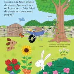 Cum cresc plantele, usborne