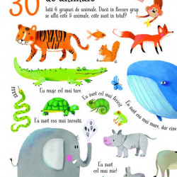Numara pana la 100 (Usborne)