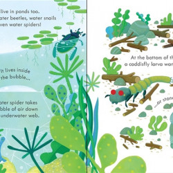 Peep inside bug homes, usborne