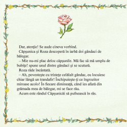 Zana Capsunica, Magia prieteniei