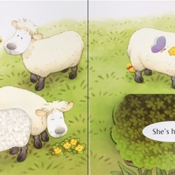 Animal hide and seek, Poppy and Sam’s, carte senzorială, touchy feely, pentru bebeluși, cu clapete, usborne