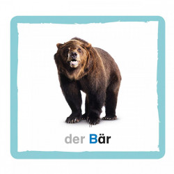 Carduri in limba germana, Meine ABC-Spielbox, dK, 5+