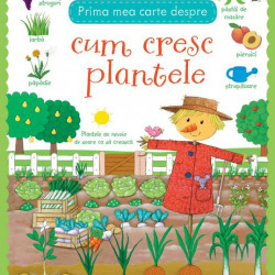 Cum cresc plantele, usborne