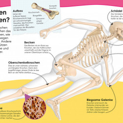 Enciclopedie Natura și tehnologia, De ce? De aceea!, Weshalb? Deshalb! Natur und Technik, dk,7+