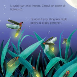 Noaptea și ziua, usborne