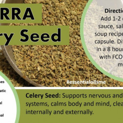 Ulei esential Celery seed, 15 ml, doterra