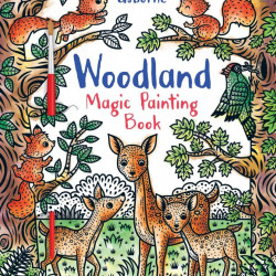 Woodland magic painting book, carte de pictat doar cu apa, usborne