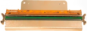 Cap Imprimare 203 DPI pentru WS408DT WD204-001