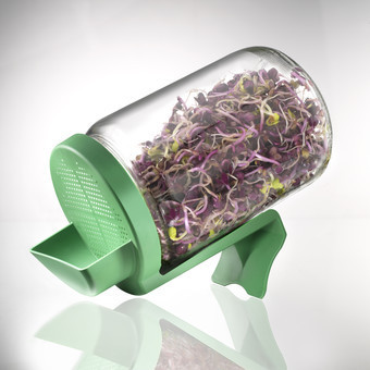 Germinator tip borcan cu protectie Germline