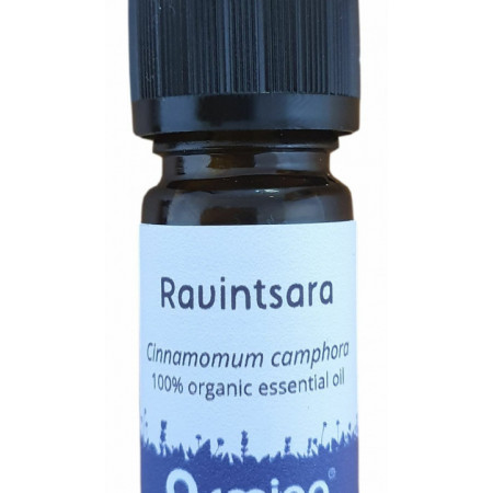 Ulei esential de ravintsara (cinnamomum camphora) pur bio 5ml ARMINA