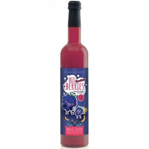ELIXIR MAGIC PENTRU COPII, CONCENTRAT CU MURE BIO, 500ML, RETTER