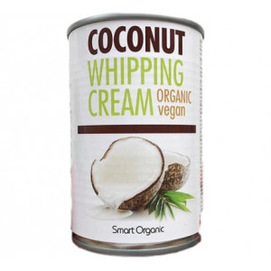 Crema de cocos inlocuitor de frisca eco 400ml SO