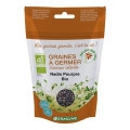 Ridiche purpurie pt germinat eco 100g Germline