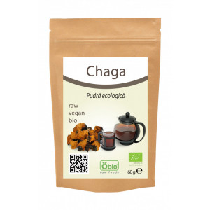 Chaga pulbere bio 60g OBIO