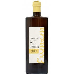 ESENTA DE GHIMBIR, FERMENTATA, BIO, 500ML, RETTER