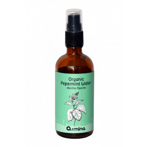 APA DE MENTA (MENTHA PIPERITA) BIO 100ML ARMINA