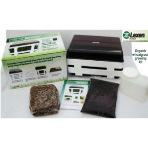 Kit complet pentru iarba de grau