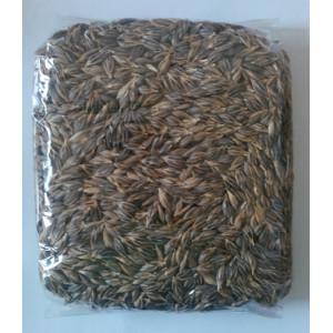 Grau ancestral pentru iarba de grau eco 500g