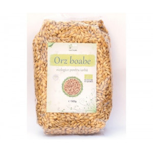 Orz boabe pentru iarba de orz eco 500g