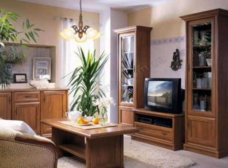 Vitrina Sonata 1 Usa