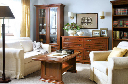 Vitrina Cabinet Sonata 2 Usi si 2 Sertare Castan