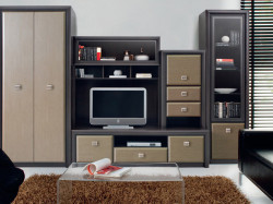 Living Petio MDF, 310 CM, Wenge Shtrocks