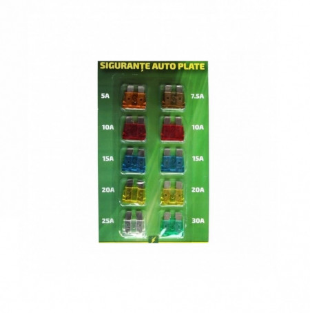 Set de 10 sigurante plate , 12V