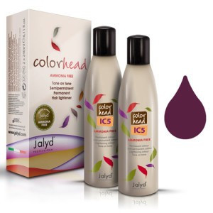 Color Head Concentrat IC5 Violet 1x240ml
