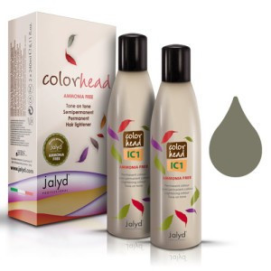 Color Head Concentrat IC1 Cenusiu 1x240ml