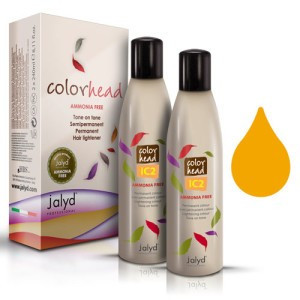 Color Head Concentrat IC2 Auriu 1x240ml