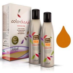 Color Head Concentrat IC4 Cupru 1x240ml