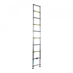 Scara aluminiu telescopica, 10 trepte, 2,9 m, Detoolz DZ-C243