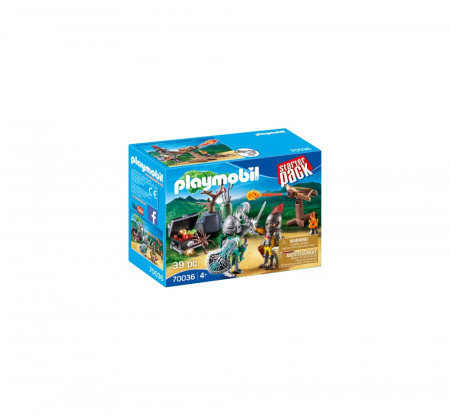 SET CAVALERI SI COMOARA