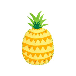 KIT CREATIE 3-IN-1 ALOHA VARA