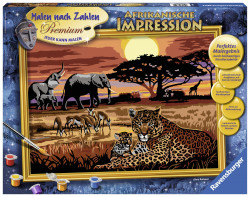 Pictura Pe Numere Safari African
