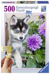 PUZZLE CATEL HUSKY, 500 PIESE