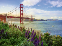 PUZZLE POD GOLDEN GATE, 1000 PIESE