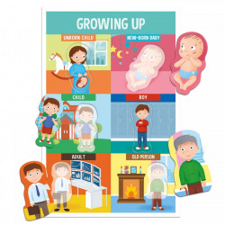 MONTESSORI - SA INVATAM PARTILE CORPULUI!
